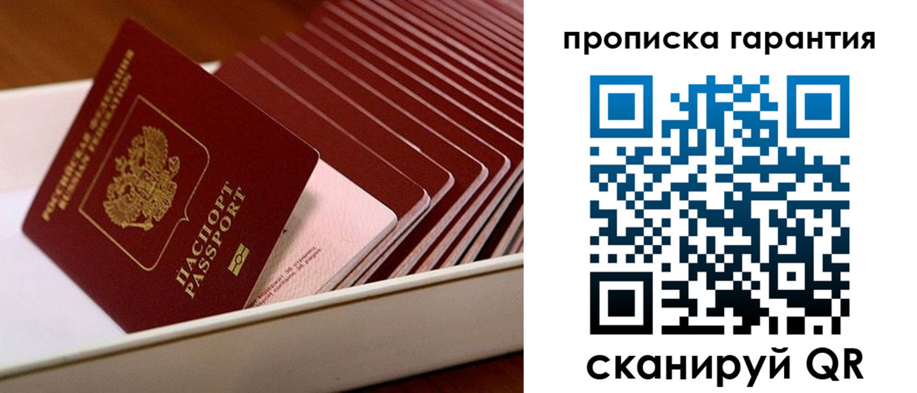 прописка поиск в Белореченске